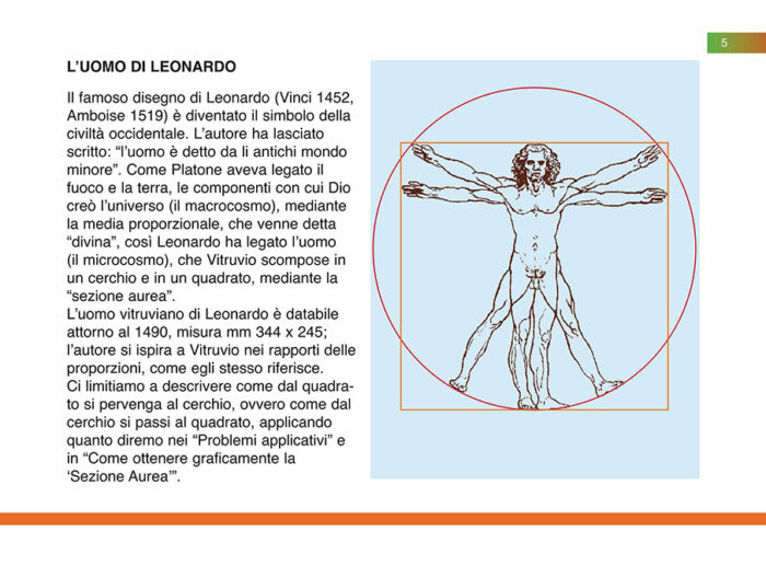 L'uomo vitruviano per i più piccoli