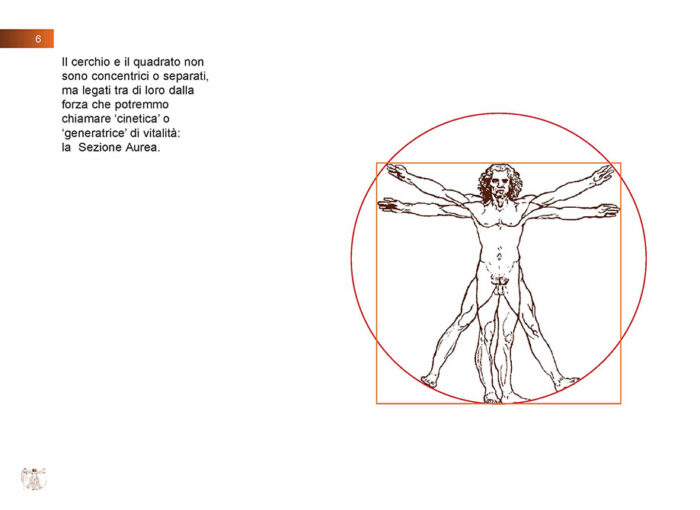 L'uomo vitruviano per la scuola
