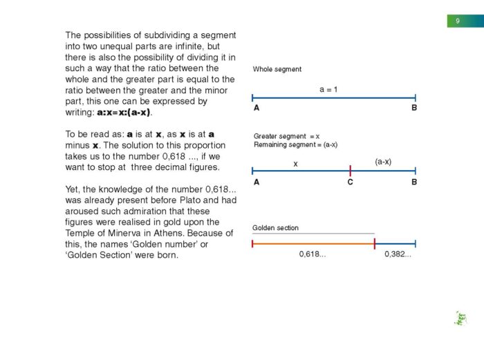 Leonardo Divine Proportion_GB_bassa_Pagina_10
