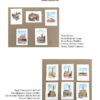 catalogo_massimo tosi11