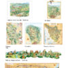 catalogo_massimo tosi2